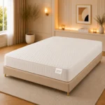 Super Reflex Foam Firm Mattress
